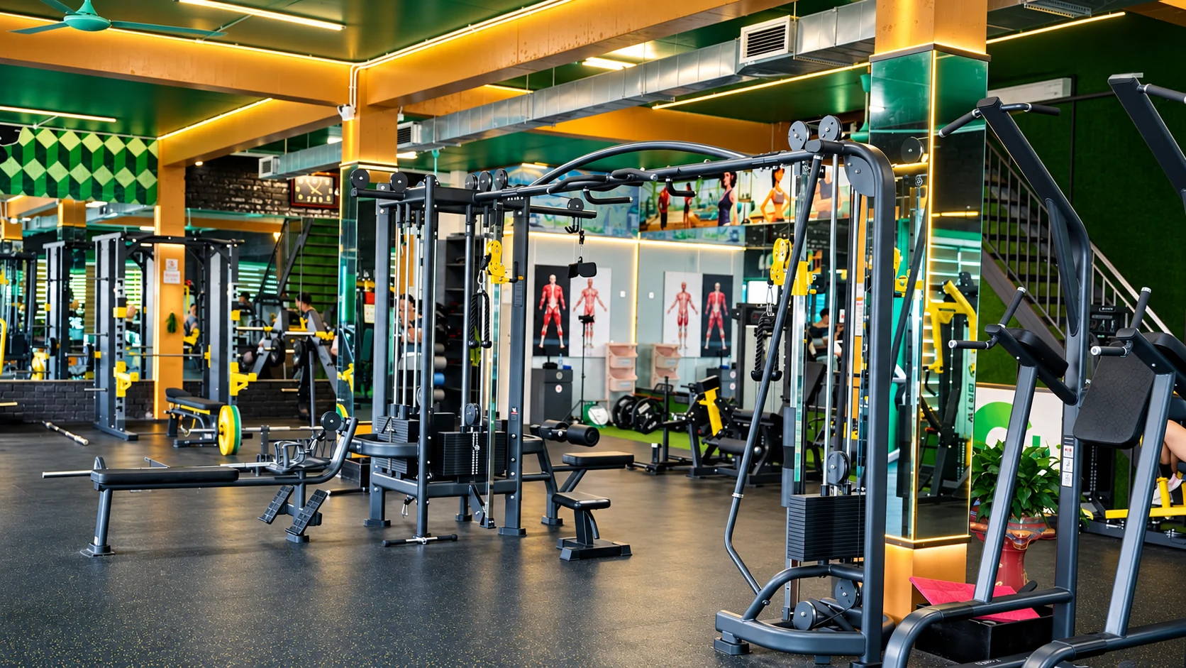 Không gian và hoạt động tập luyện